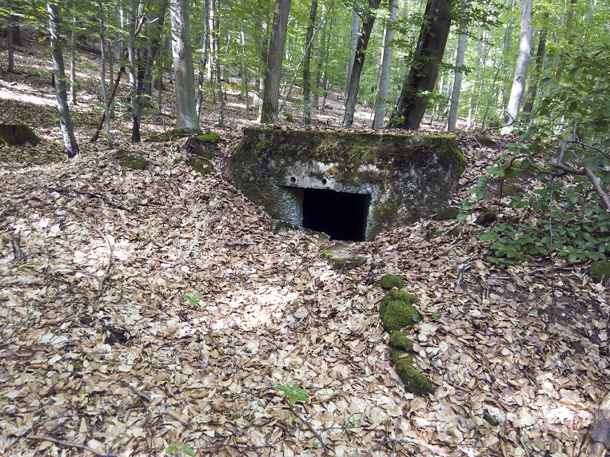Ligne Maginot - C7 - VERRERIE 2 - (Blockhaus pour canon) -  - donceuh