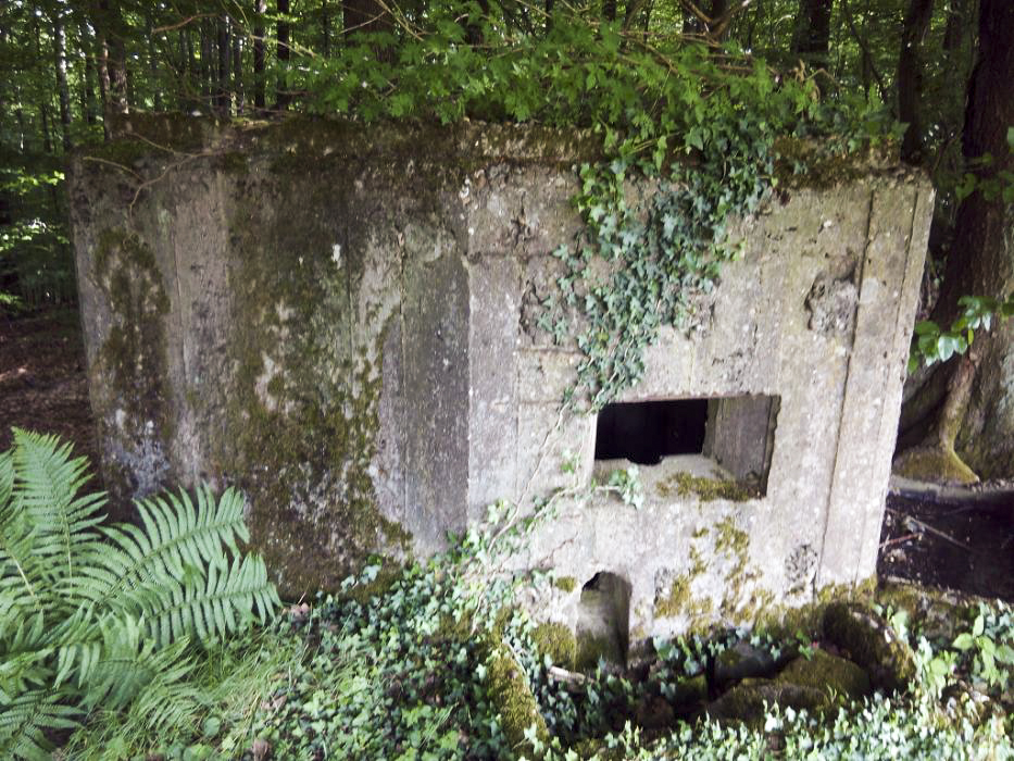 Ligne Maginot - M69 - VERRERIE 3 - (Blockhaus pour arme infanterie) -  - donceuh