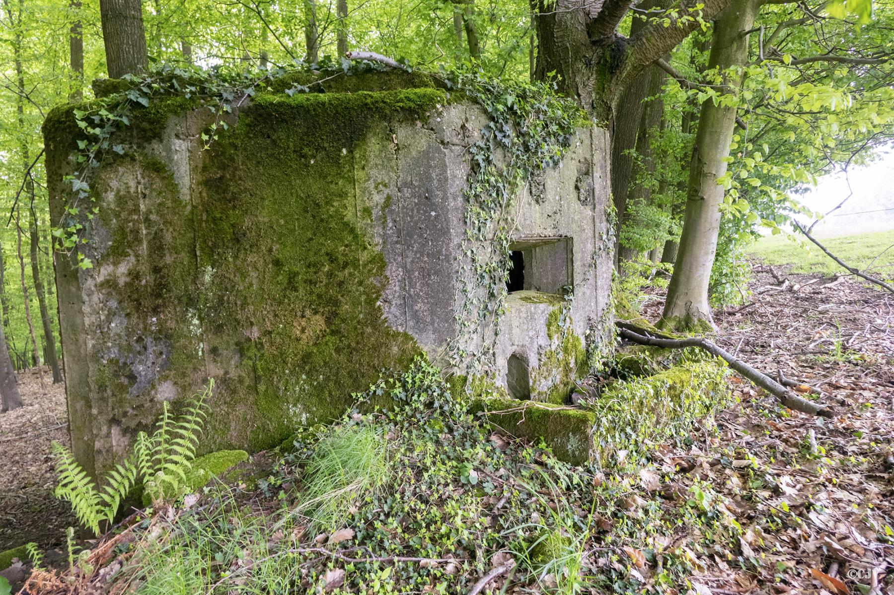 Ligne Maginot - M69 - VERRERIE 3 - (Blockhaus pour arme infanterie) -  - Lia VERMEULEN