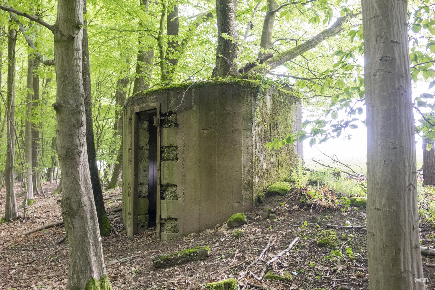 Ligne Maginot - M69 - VERRERIE 3 - (Blockhaus pour arme infanterie) -  - Lia VERMEULEN