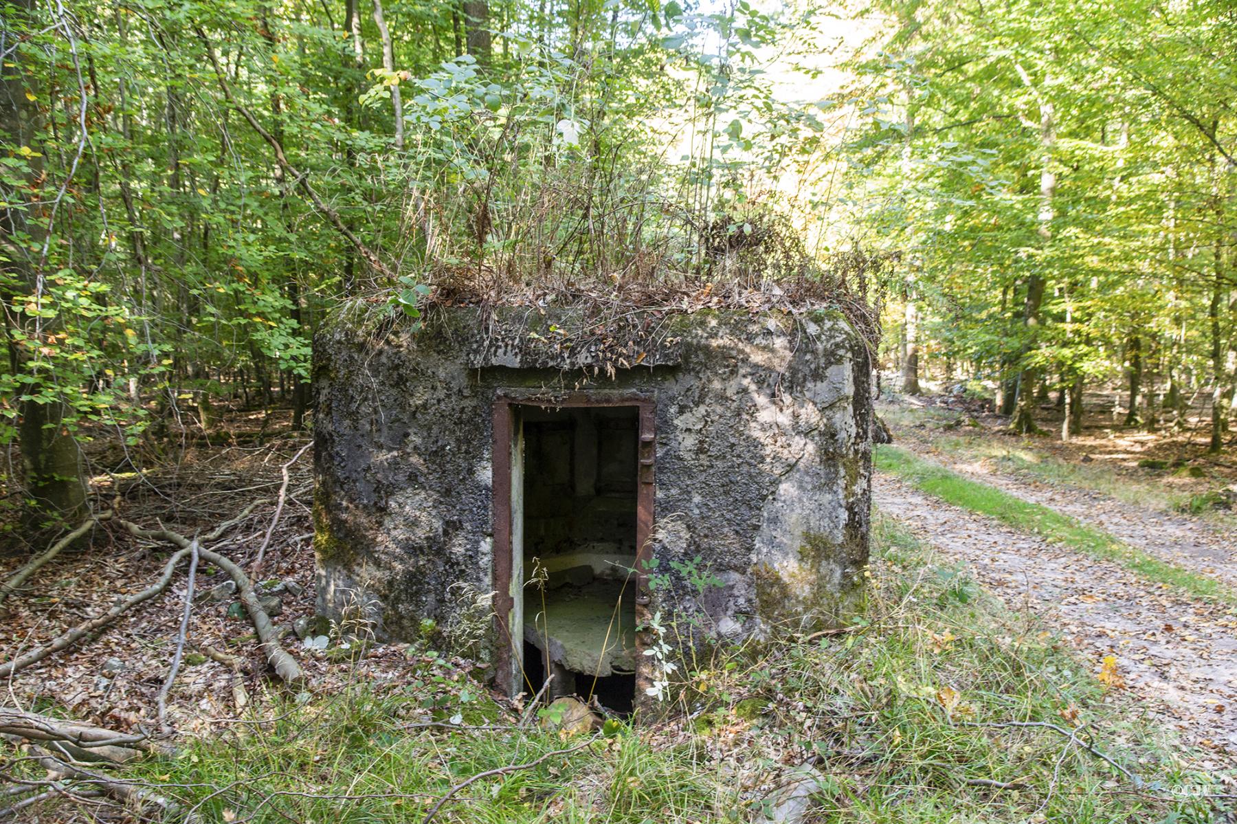 Ligne Maginot - VOEGELSMATT 1 - (Blockhaus pour arme infanterie) -  - Lia VERMEULEN