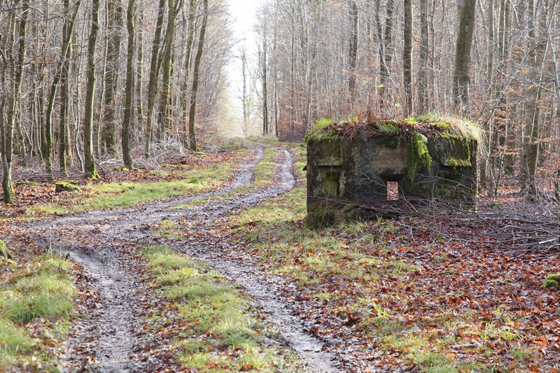 Ligne Maginot - VOEGELSMATT 1 (Blockhaus pour arme infanterie) -  - GRUBER Franck