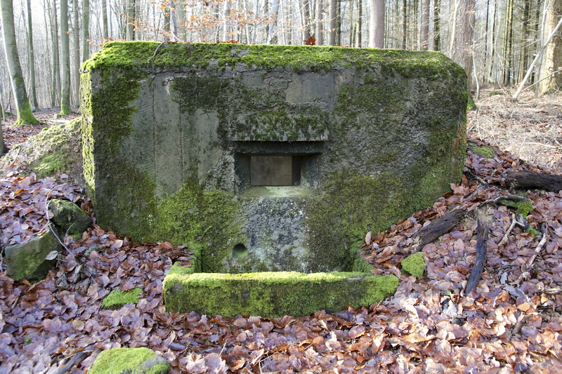 Ligne Maginot - FM53 - VOEGELSMATT 3 - (Blockhaus pour arme infanterie) -  - GRUBER Franck