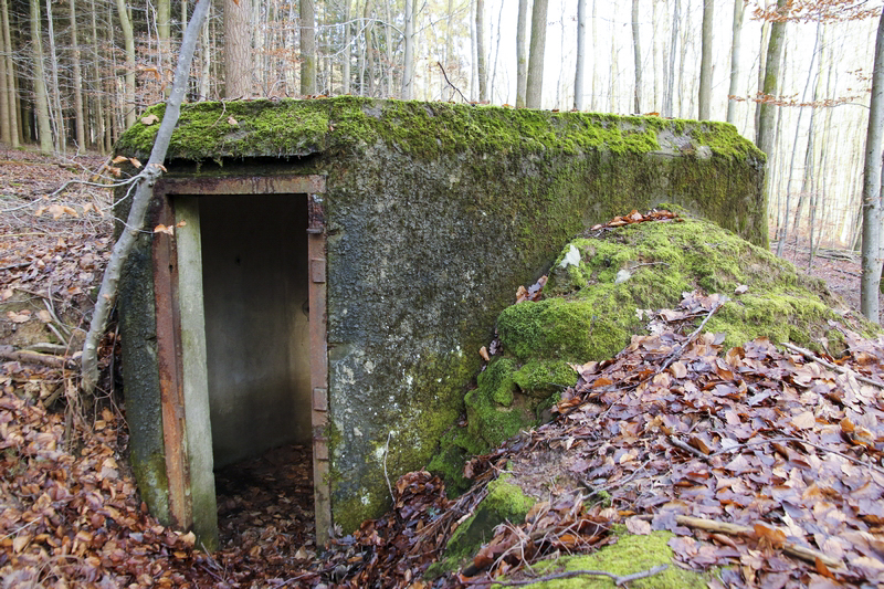 Ligne Maginot - FM53 - VOEGELSMATT 3 - (Blockhaus pour arme infanterie) -  - GRUBER Franck
