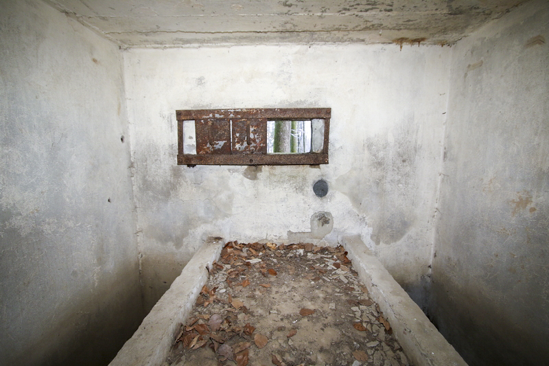 Ligne Maginot - FM53 - VOEGELSMATT 3 - (Blockhaus pour arme infanterie) -  - GRUBER Franck