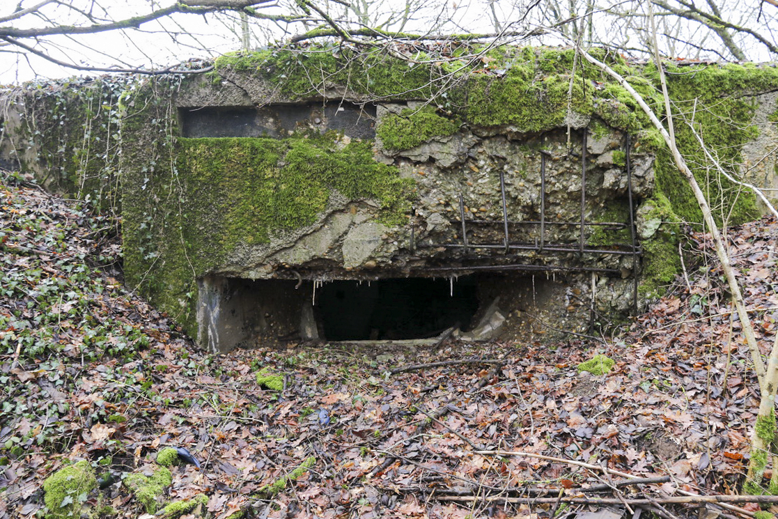 Ligne Maginot - DB15 - (Blockhaus pour canon) -  - Alain Perouffe