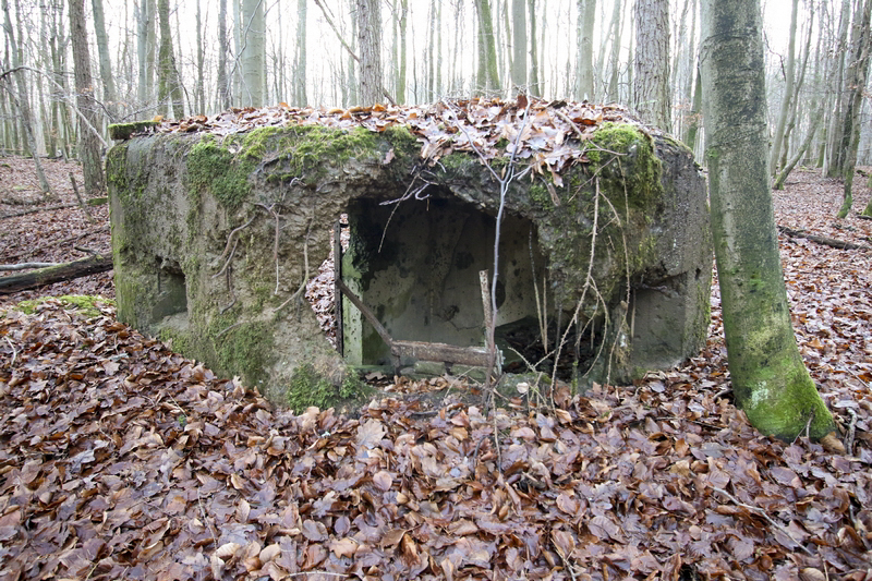 Ligne Maginot - M7 - VOEGELSMATT 2 - (Blockhaus pour arme infanterie) -  - GRUBER Franck