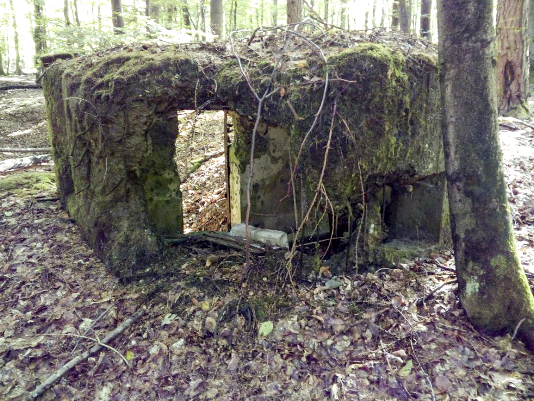 Ligne Maginot - M7 - VOEGELSMATT 2 - (Blockhaus pour arme infanterie) -  - donceuh