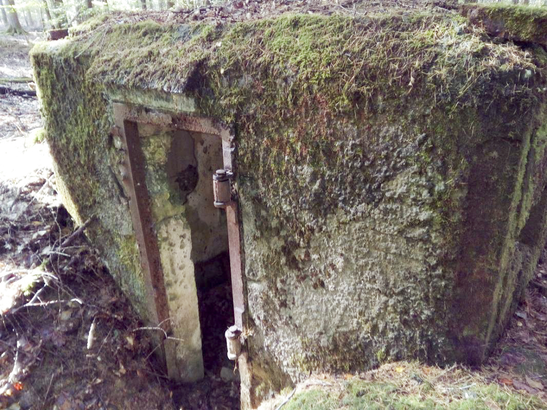 Ligne Maginot - M7 - VOEGELSMATT 2 - (Blockhaus pour arme infanterie) -  - donceuh