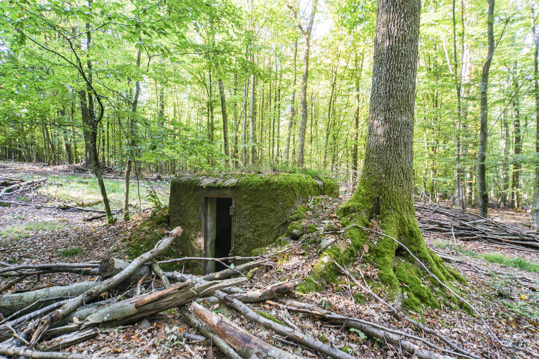 Ligne Maginot - FM26 - VOEGELSMATT 4 - (Blockhaus pour arme infanterie) -  - Lia VERMEULEN
