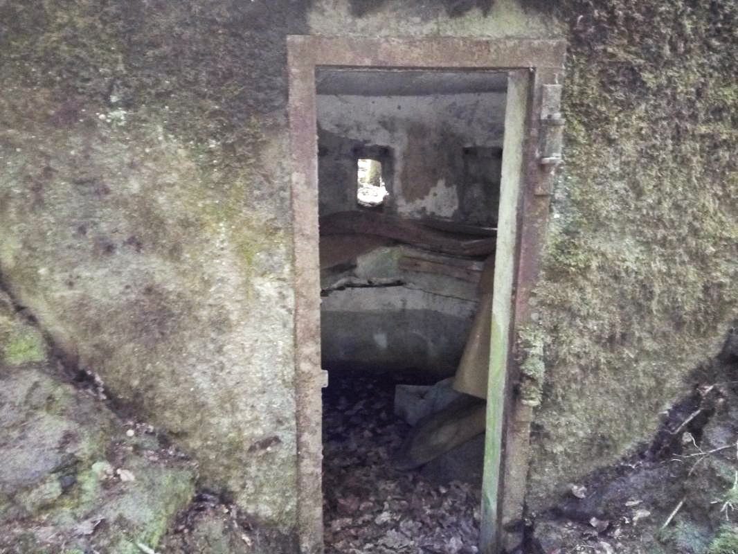 Ligne Maginot - FM26 - VOEGELSMATT 4 - (Blockhaus pour arme infanterie) -  - donceuh