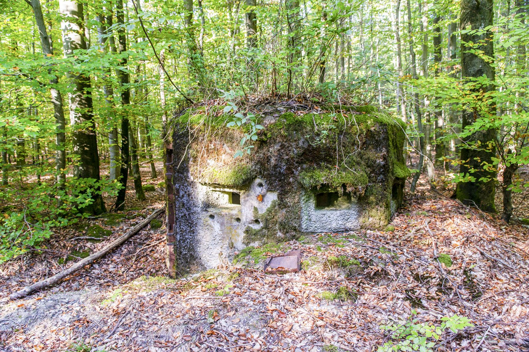 Ligne Maginot - FM25 - VOEGELSMATT 5 - (Blockhaus pour arme infanterie) -  - Lia VERMEULEN