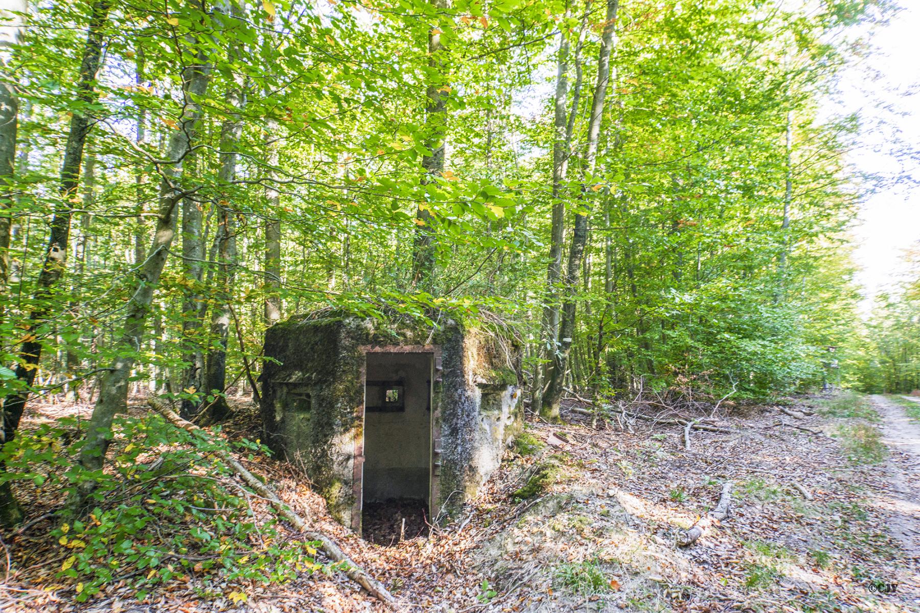 Ligne Maginot - FM25 - VOEGELSMATT 5 - (Blockhaus pour arme infanterie) -  - Lia VERMEULEN