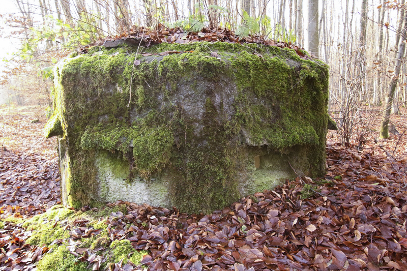 Ligne Maginot - FM25 - VOEGELSMATT 5 - (Blockhaus pour arme infanterie) -  - GRUBER Franck