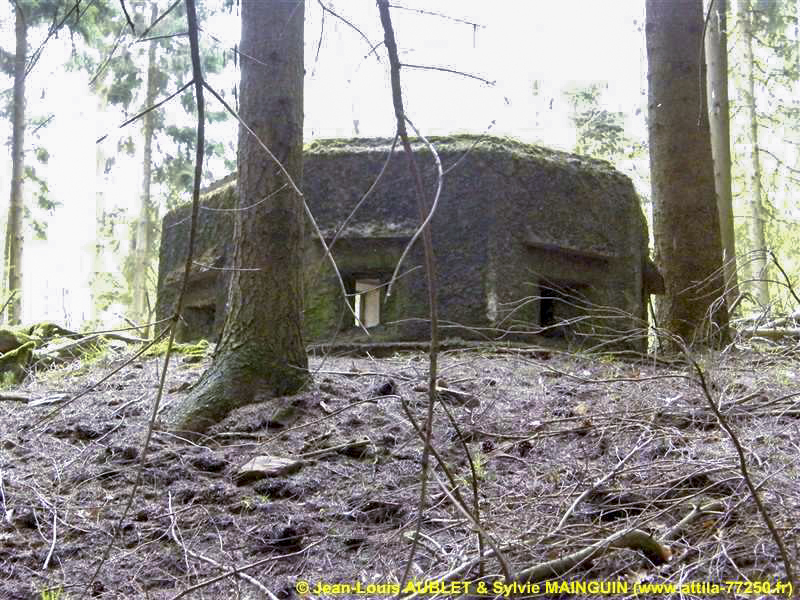 Ligne Maginot - FM24 - VOEGELSMATT 6 - (Blockhaus pour arme infanterie) -  - Jean-Louis AUBLET & Sylvie MAINGUIN (www.attila-77