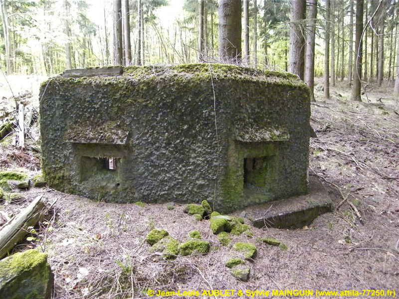 Ligne Maginot - FM24 - VOEGELSMATT 6 - (Blockhaus pour arme infanterie) -  - Jean-Louis AUBLET & Sylvie MAINGUIN (www.attila-77