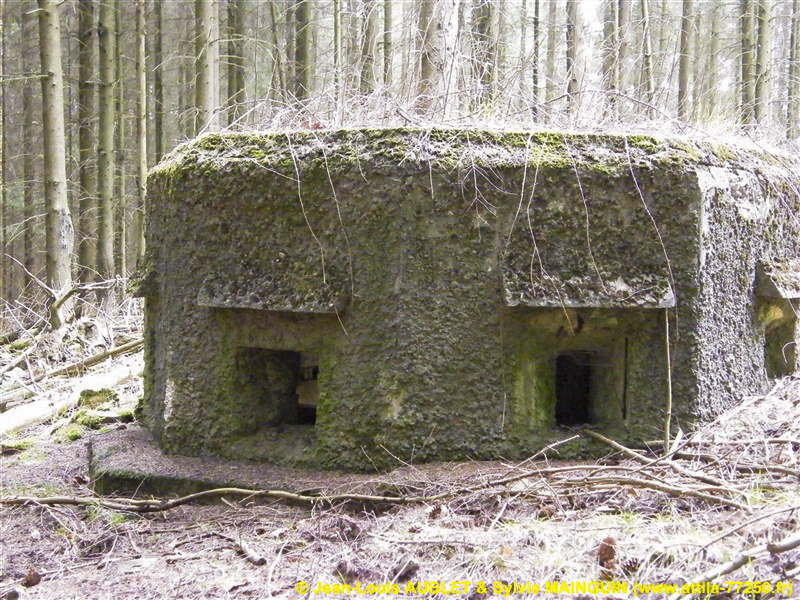Ligne Maginot - FM24 - VOEGELSMATT 6 - (Blockhaus pour arme infanterie) -  - Jean-Louis AUBLET & Sylvie MAINGUIN (www.attila-77