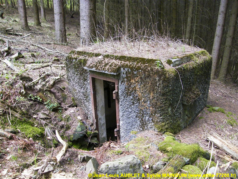 Ligne Maginot - FM24 - VOEGELSMATT 6 - (Blockhaus pour arme infanterie) -  - Jean-Louis AUBLET & Sylvie MAINGUIN (www.attila-77