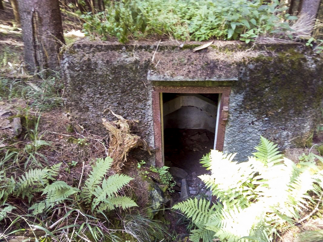 Ligne Maginot - FM24 - VOEGELSMATT 6 - (Blockhaus pour arme infanterie) -  - donceuh