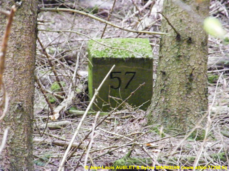 Ligne Maginot - FM24 - VOEGELSMATT 6 - (Blockhaus pour arme infanterie) -  - Jean-Louis AUBLET & Sylvie MAINGUIN (www.attila-77