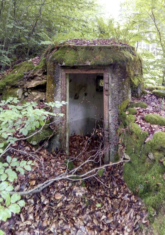 Ligne Maginot - FM17 - VOEGELSMATT 8 - (Blockhaus pour arme infanterie) -  - donceuh