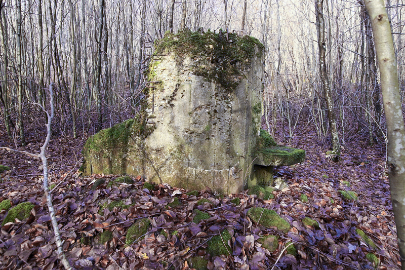 Ligne Maginot - FM22 - VOEGELSMATT 9 - (Blockhaus pour arme infanterie) -  - GRUBER Franck