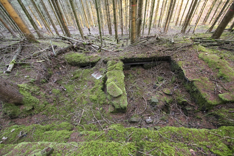 Ligne Maginot - VOEGELSMATT 10 (Cuve pour arme d'infanterie) -  - GRUBER Franck