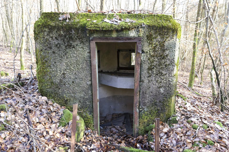 Ligne Maginot - FM21 - VOEGELSMATT 11 - (Blockhaus pour arme infanterie) -  - Alain Perouffe