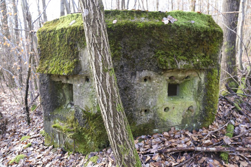 Ligne Maginot - FM21 - VOEGELSMATT 11 - (Blockhaus pour arme infanterie) -  - Alain Perouffe