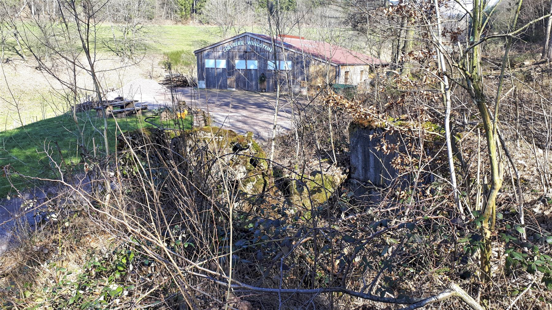 Ligne Maginot - FM85 - WELSCHHOF SUD EST - (Blockhaus pour arme infanterie) - Le bloc ruiné, du coté de l'entrée - Gregory Fuchs