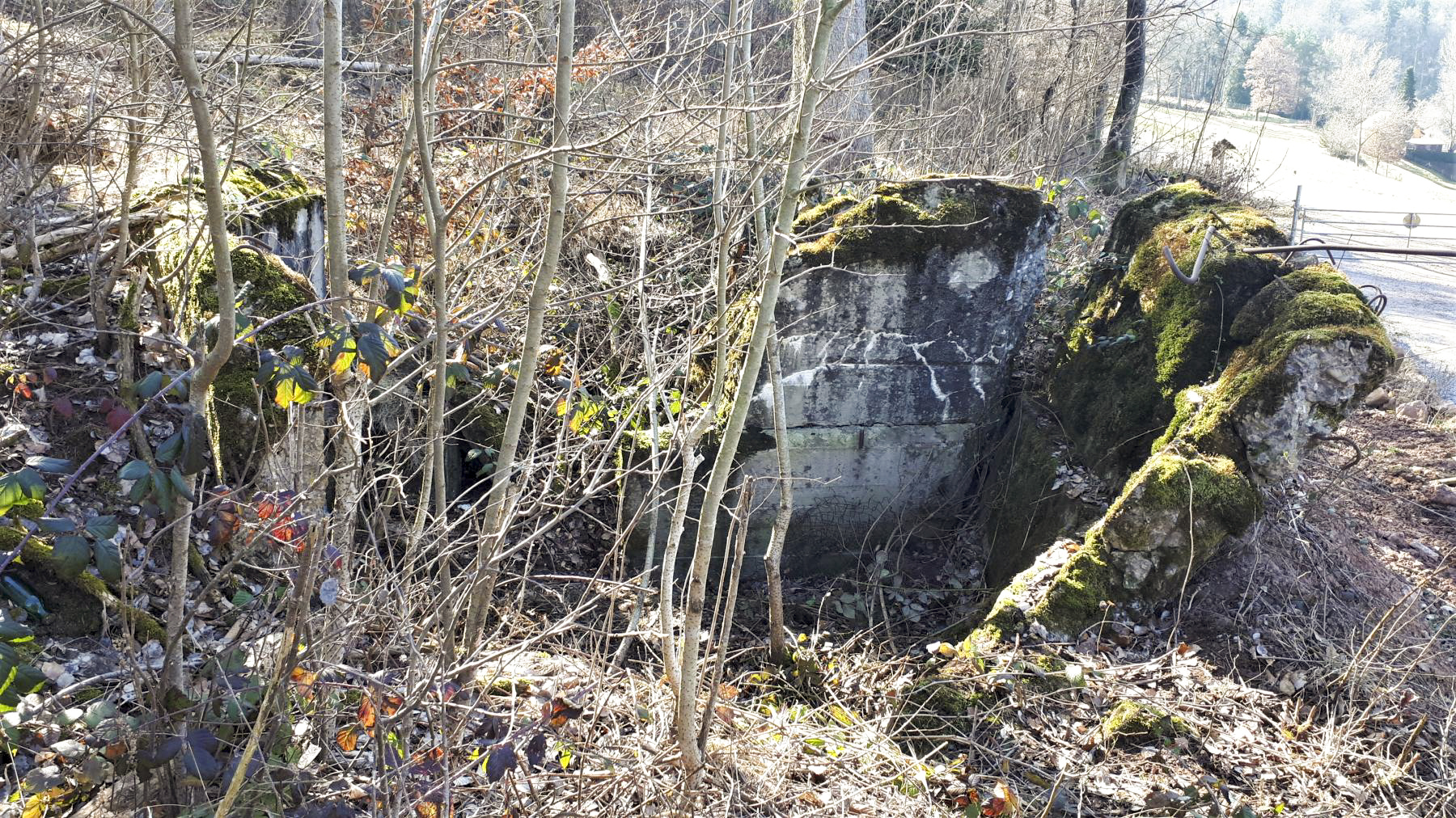 Ligne Maginot - FM85 - WELSCHHOF SUD EST - (Blockhaus pour arme infanterie) - Le bloc ruiné, coté face ou se trouvait les 2 créneaux - Gregory Fuchs