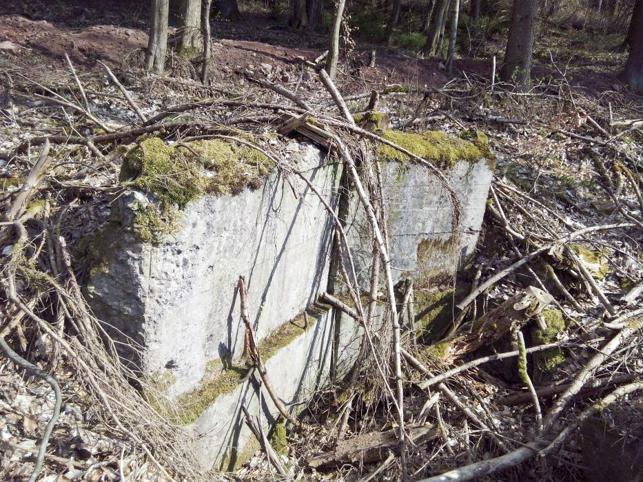Ligne Maginot - FM85 - WELSCHHOF SUD EST - (Blockhaus pour arme infanterie) - Le bloc ruiné - donceuh