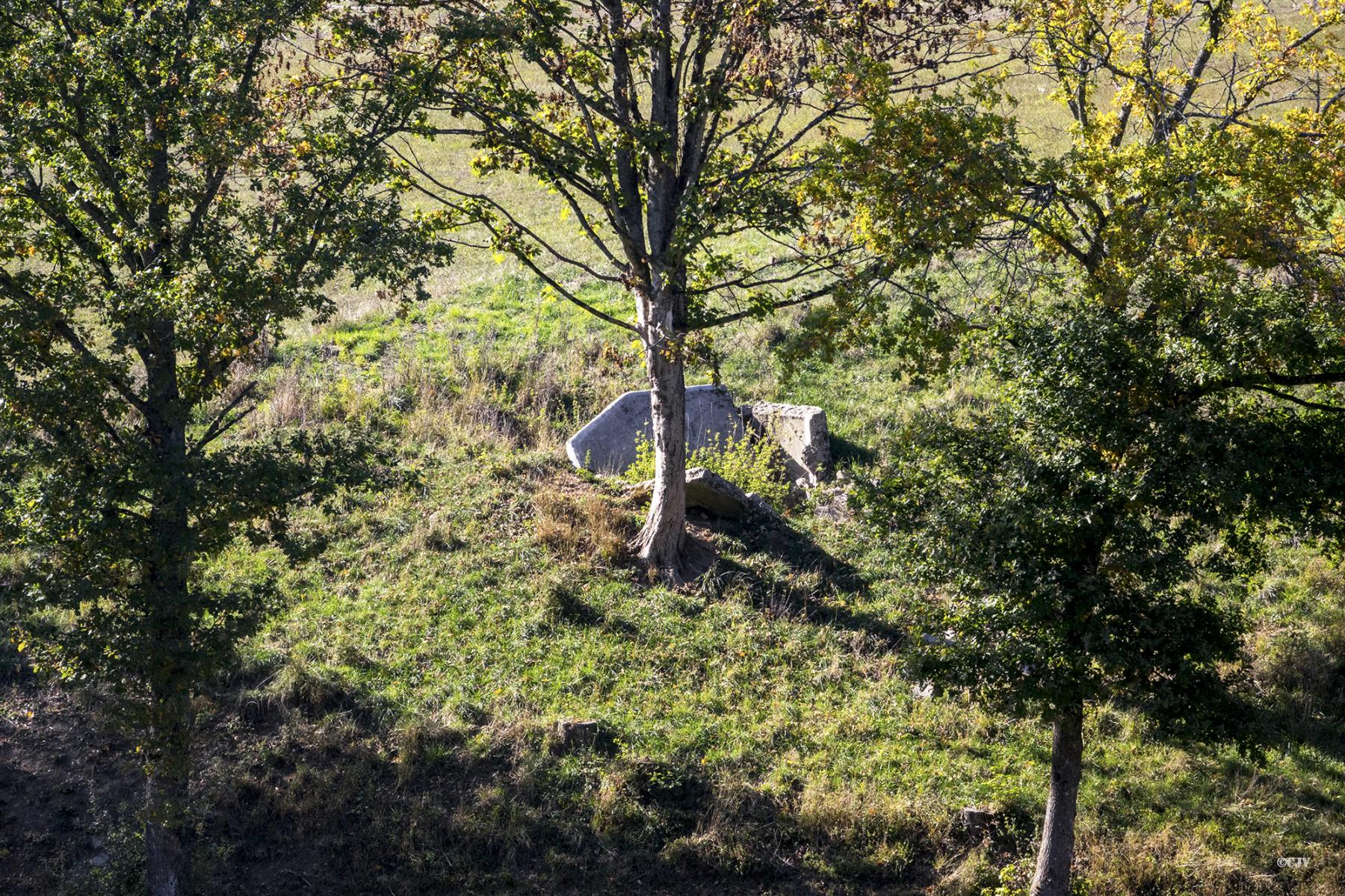 Ligne Maginot - FM86 - WELSCHHOF SUD OUEST - (Blockhaus pour arme infanterie) - Le bloc vu depuis la route - Lia VERMEULEN