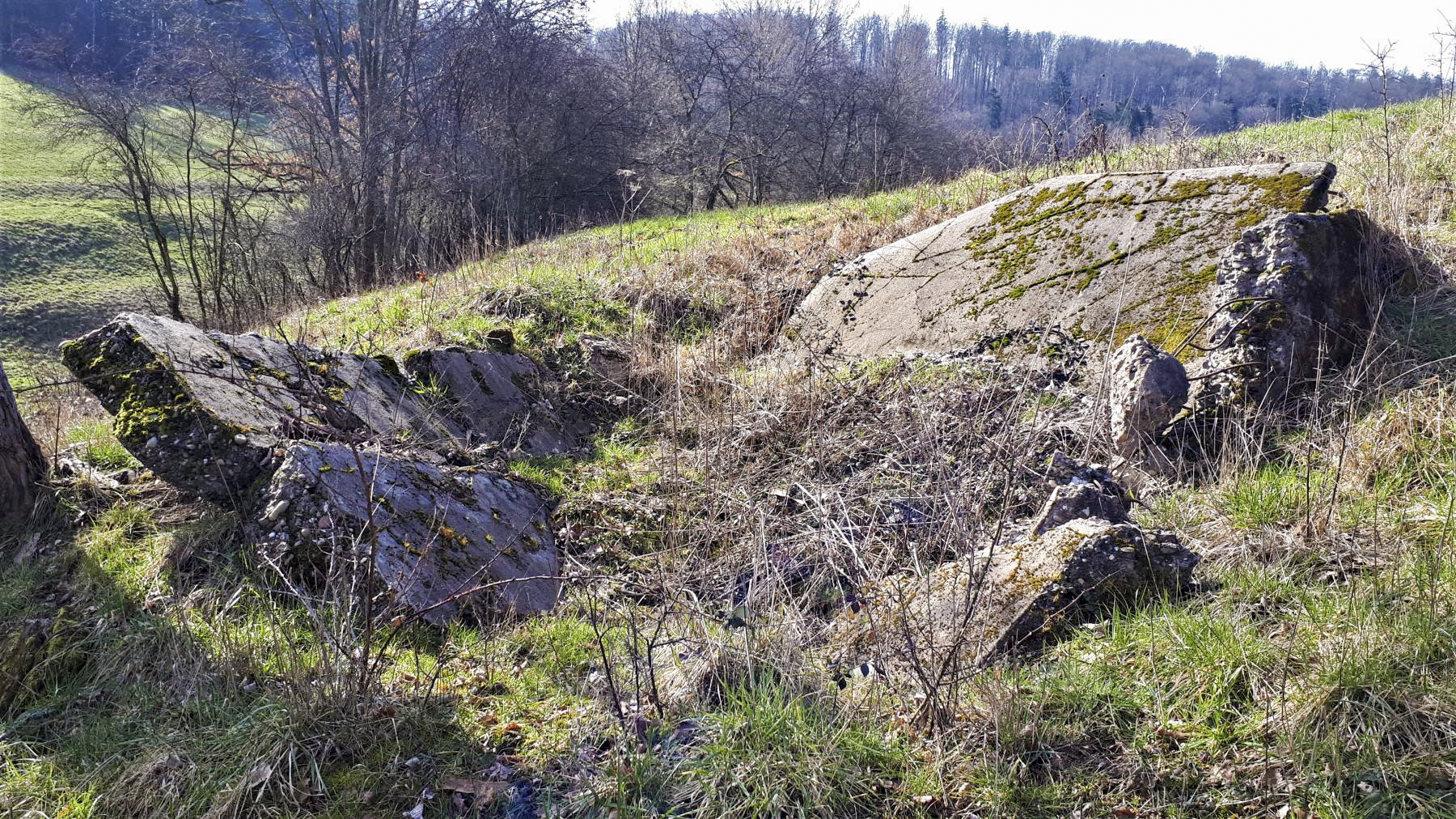 Ligne Maginot - FM86 - WELSCHHOF SUD OUEST - (Blockhaus pour arme infanterie) - Les ruines du bloc - Gregory Fuchs