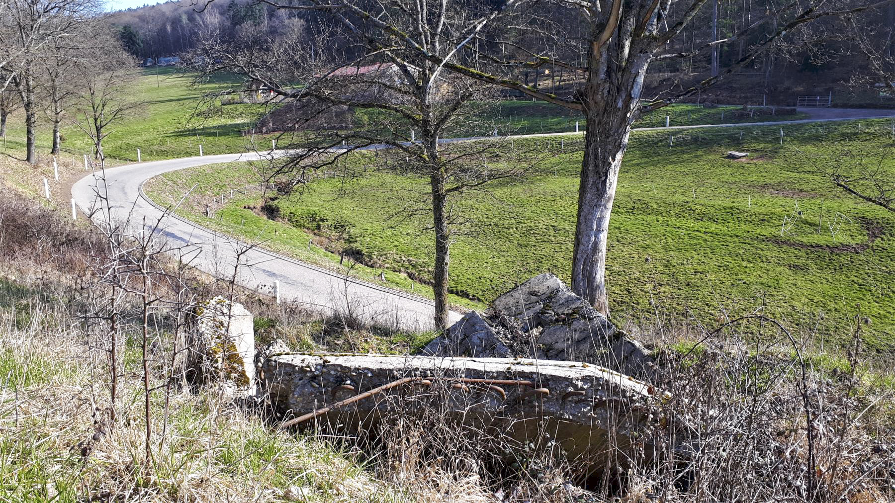 Ligne Maginot - FM86 - WELSCHHOF SUD OUEST - (Blockhaus pour arme infanterie) - Direction de tir du bloc, dans le vallon de Welschhof - Gregory Fuchs