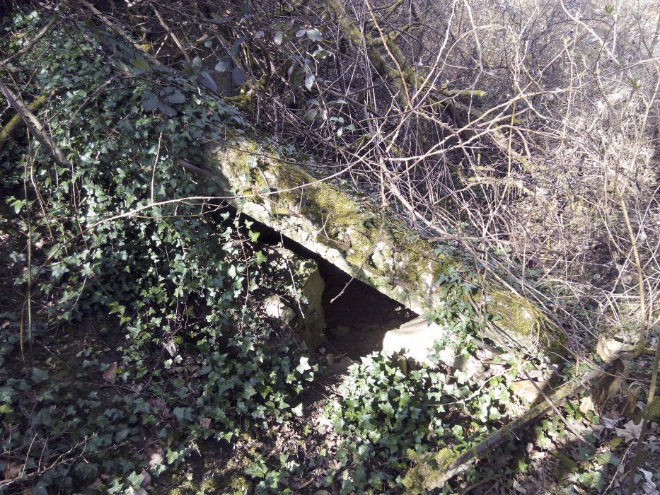 Ligne Maginot - FM86 - WELSCHHOF SUD OUEST - (Blockhaus pour arme infanterie) - Les ruines du bloc - donceuh