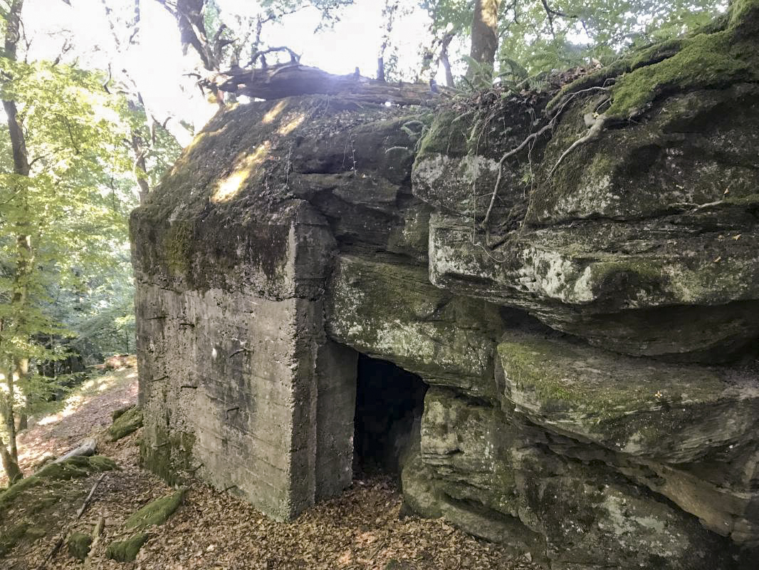 Ligne Maginot - WINGEN SUD 3 - (Blockhaus pour arme infanterie) -  - WALTHER Quentin
