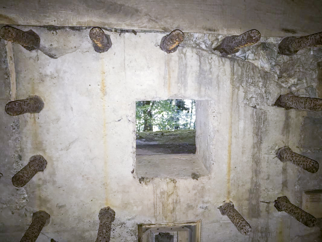 Ligne Maginot - WINGEN SUD 3 - (Blockhaus pour arme infanterie) -  - WALTHER Quentin