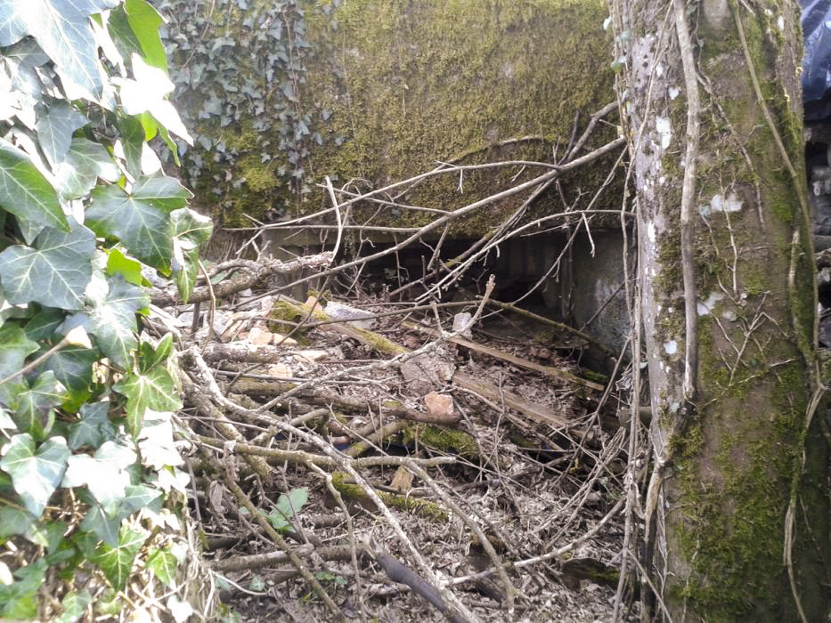 Ligne Maginot - Blockhaus Db45 - Mb3 - CHAMPS LATTES - Le créneau de tir perdu dans les arbres et buissons - Christian RICHON/devoitine520