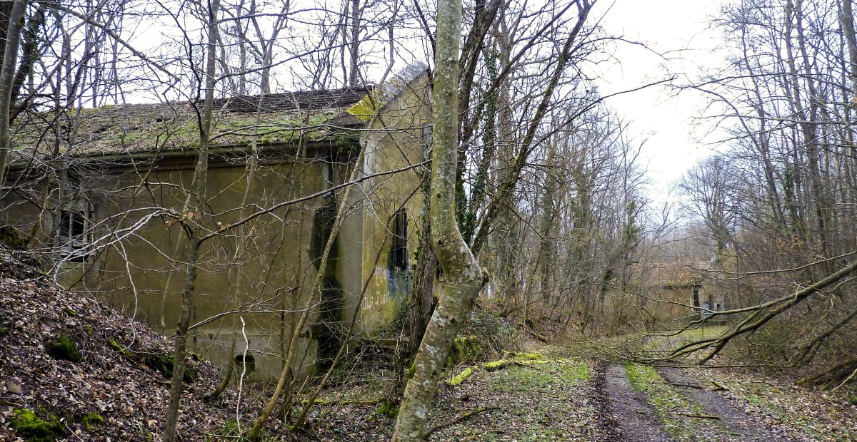 Ligne Maginot - ROMANSWILLER - DéPôT ARRIèRE (5°ARMéE - RFL) - (Dépôt de Munitions) - Baraquements du dépôt - Aditus