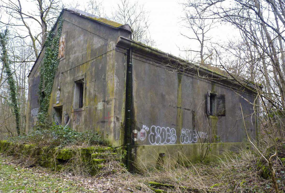 Ligne Maginot - ROMANSWILLER - DéPôT ARRIèRE (5°ARMéE - RFL) - (Dépôt de Munitions) -  - Aditus