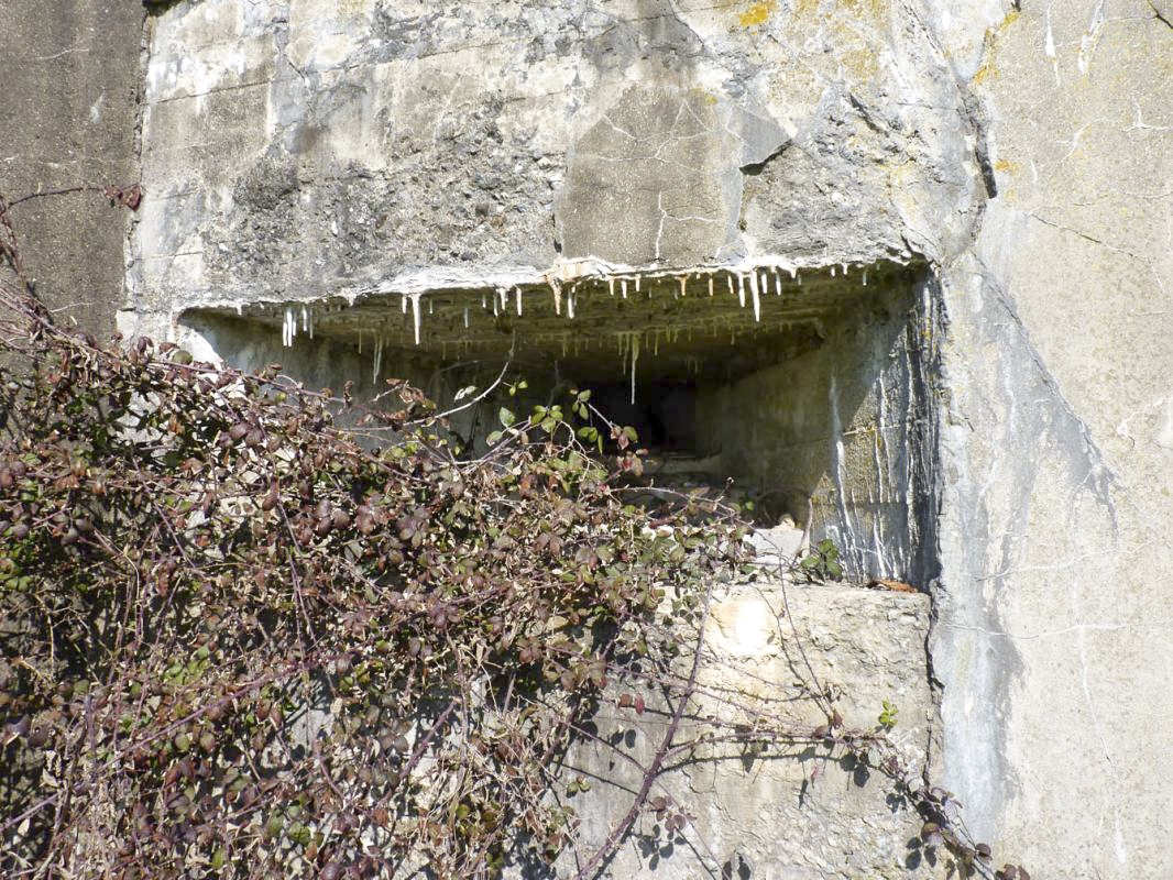 Ligne Maginot - A5 - PONT DE WATOU - (Blockhaus lourd type STG / STG-FCR - Double) -  - JMBrams