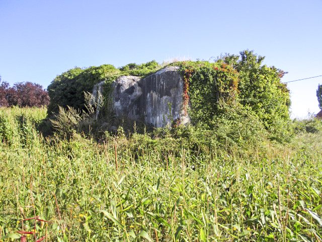 Ligne Maginot - A6 - EPI DE BLE - (Blockhaus lourd type STG / STG-FCR - Double) - Vue prise depuis la rue de l'Epi de blé. - Smardz Félix