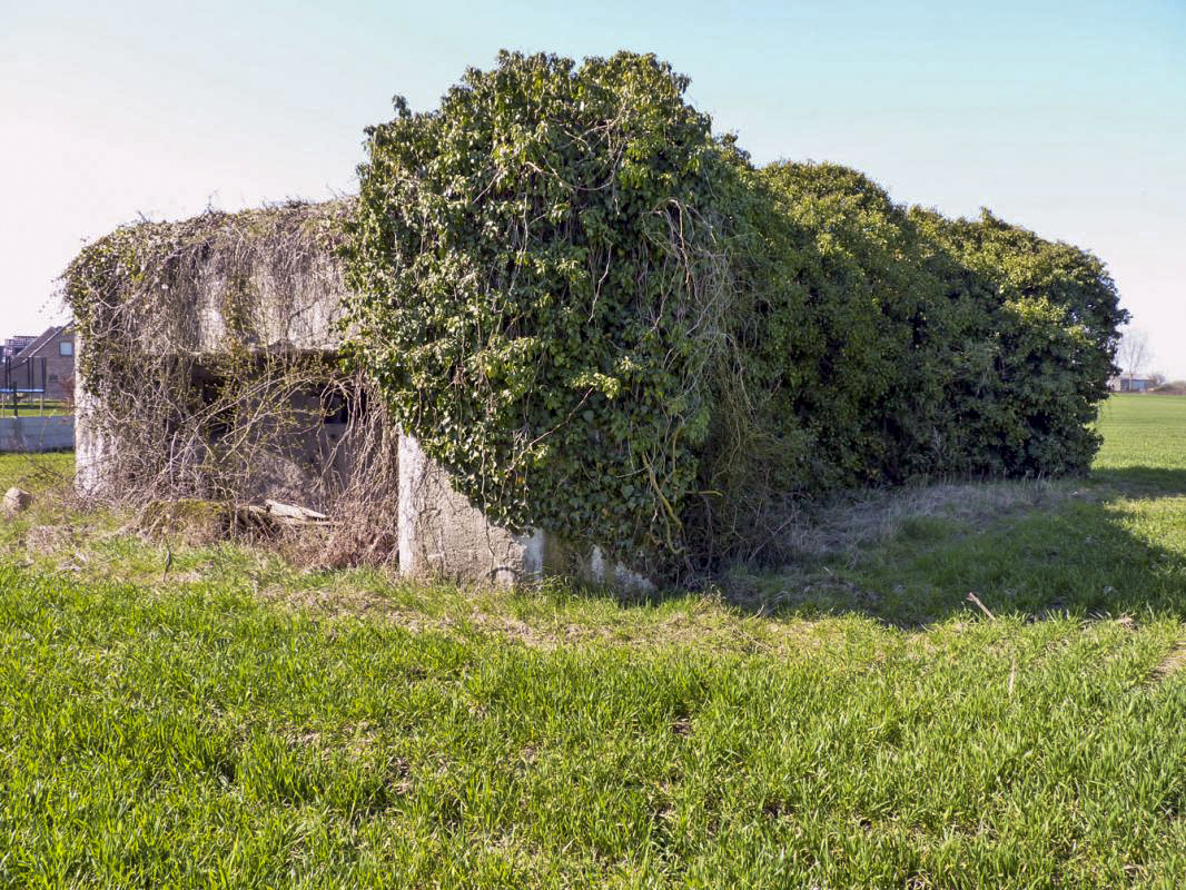Ligne Maginot - A6 - EPI DE BLE - (Blockhaus lourd type STG / STG-FCR - Double) -  - JMBrams