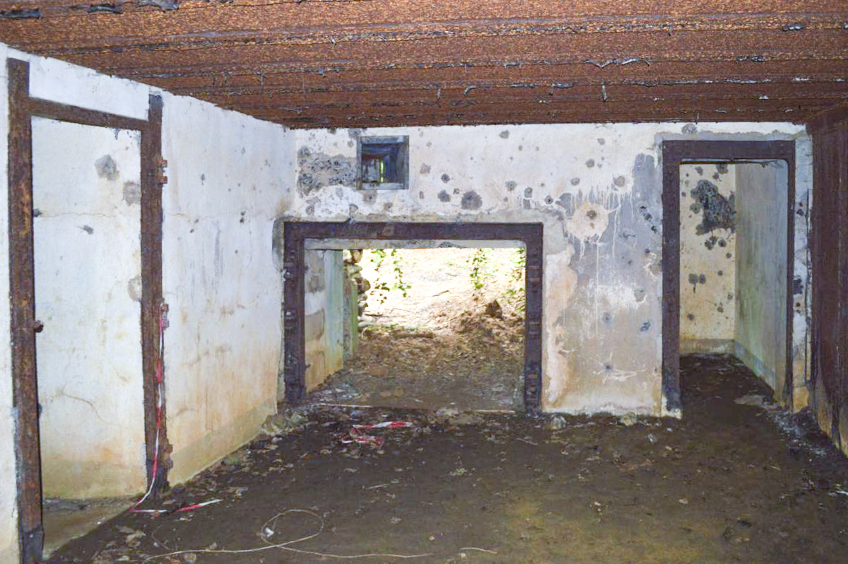 Ligne Maginot - A8 - PUDEFORT EST - (Casemate d'infanterie) -  - KNAPP Colin