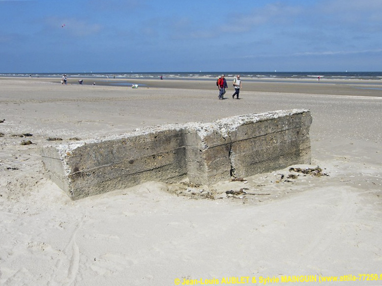 Ligne Maginot - B4 - Les DUNES 4 (Blockhaus pour arme infanterie) -  - Jean-Louis AUBLET & Sylvie MAINGUIN
