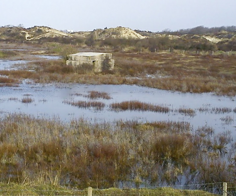 Ligne Maginot - B10 - Les DUNES 10 (Blockhaus pour arme infanterie) -  - Panoramio