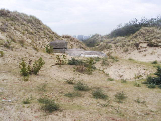 Ligne Maginot - B11 - MELUN (Blockhaus pour arme infanterie) -  - curtiss-p75.skyrock.com