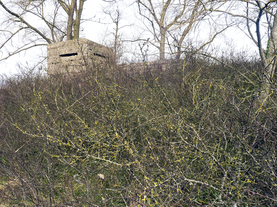 Ligne Maginot - B23 - NANCY - (Blockhaus pour arme infanterie) -  - JMBrams