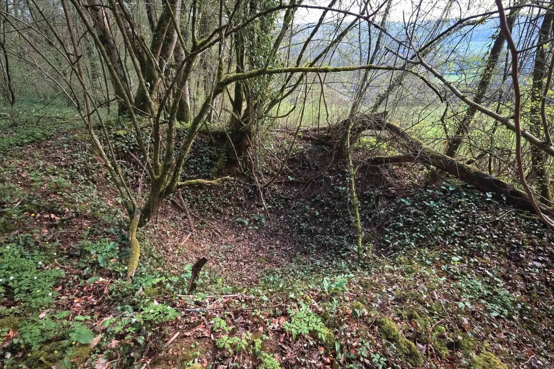 Ligne Maginot - G12 - (Blockhaus lourd type STG / STG-FCR - Simple) - Le sondage délimité par des piquets. - Thierry Caland